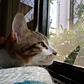 P1060075.JPG