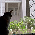 P1060081.JPG