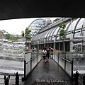 023-7.jpg