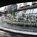 021-7.jpg
