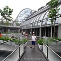029-7.jpg