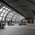 035-7.jpg