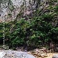 017-8.jpg