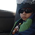 031-7.jpg