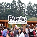002-7.jpg