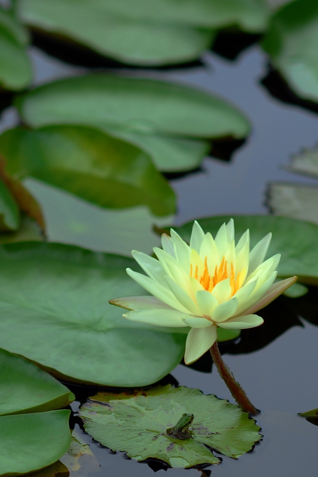 2008-0817 (12).jpg 2008-0817 (12).jpg