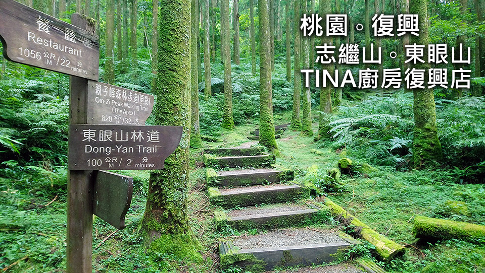 夢幻城堡の璇 宸 桃園 復興 志繼山 東眼山 Tina廚房一登山健行散記 Babyhome 個人專頁