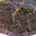 003-7.jpg