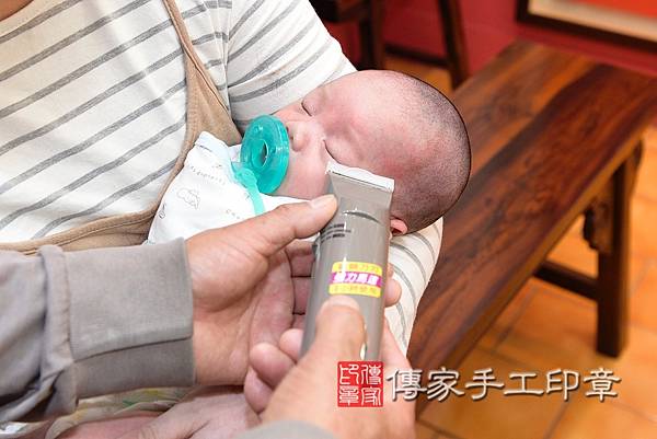 剃頭,桃園剃頭,黃寶寶剃頭2023.3.17剃頭,照片5 剃頭,桃園剃頭,黃寶寶剃頭2023.3.17剃頭,照片5