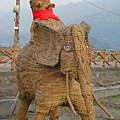IMG_5360.JPG