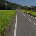 IMG_5234.JPG