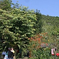 IMG_5213.JPG