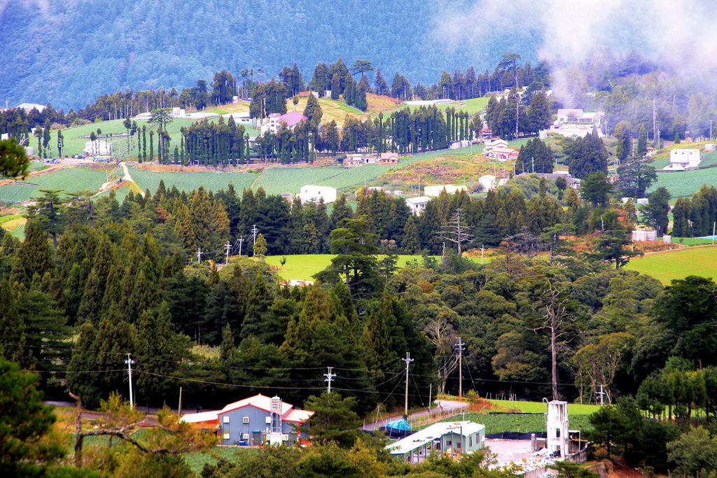 IMG_1984.jpg IMG_1984.jpg