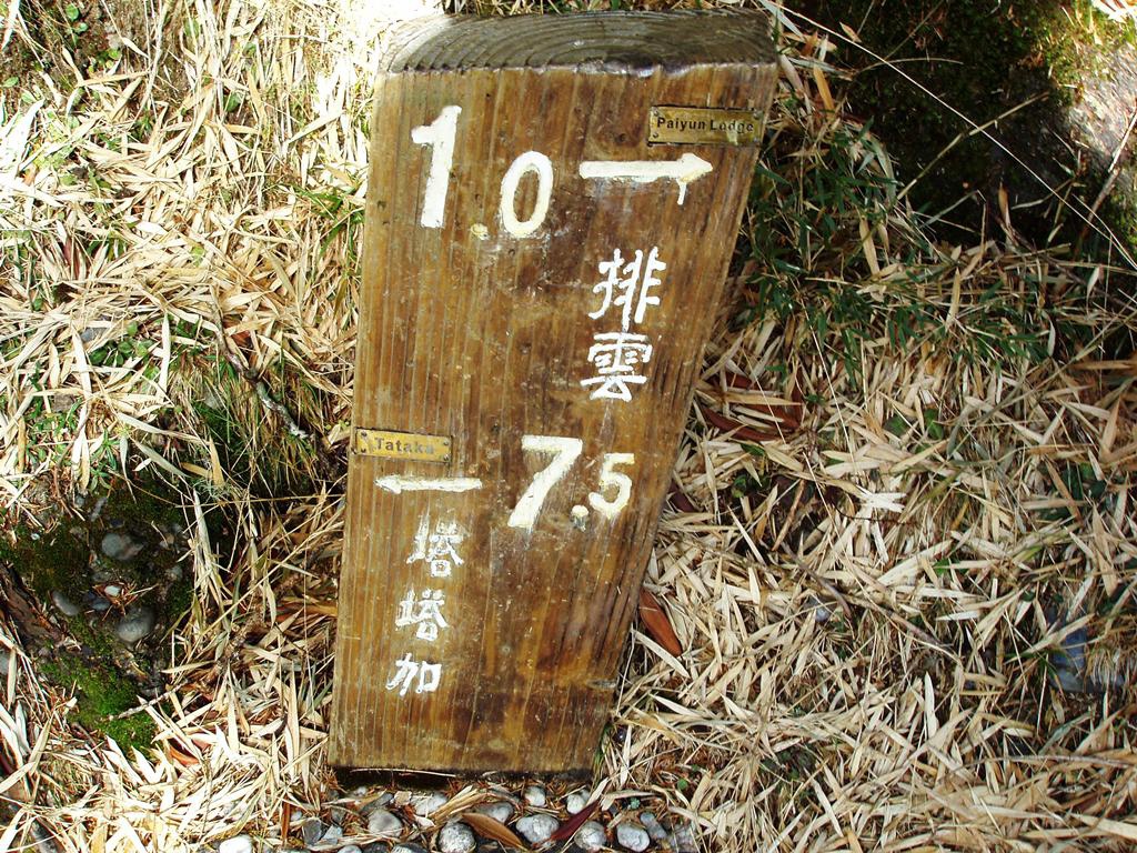 象！玉山報到-1039.JPG