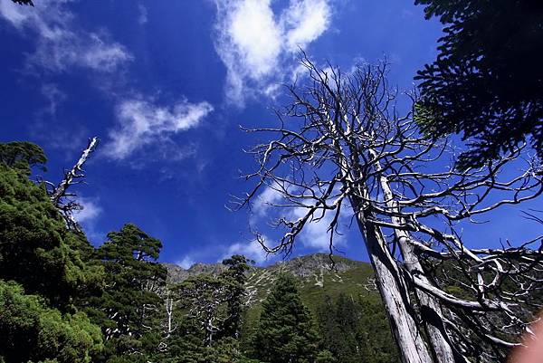 象！雪山圓夢093.JPG