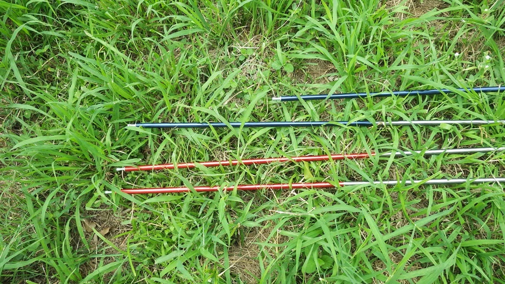 01268160.JPG 01268160.JPG