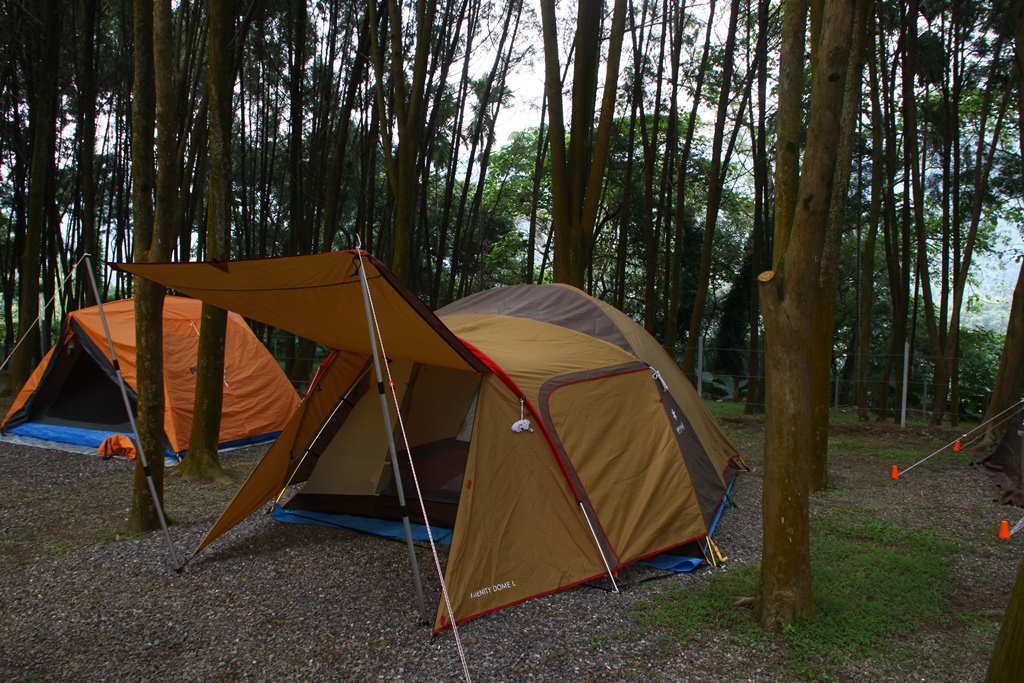 IMG_2650.JPG IMG_2650.JPG