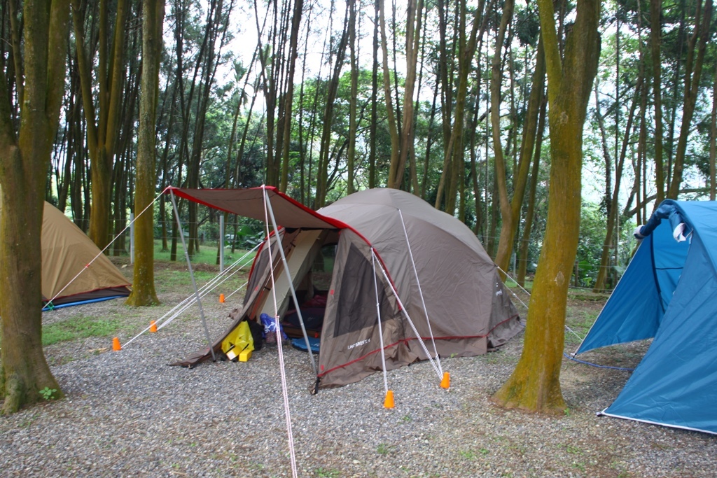 IMG_2653.JPG IMG_2653.JPG