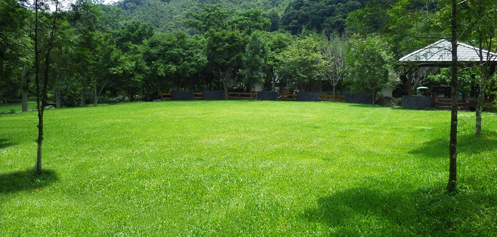 01268951.JPG 01268951.JPG