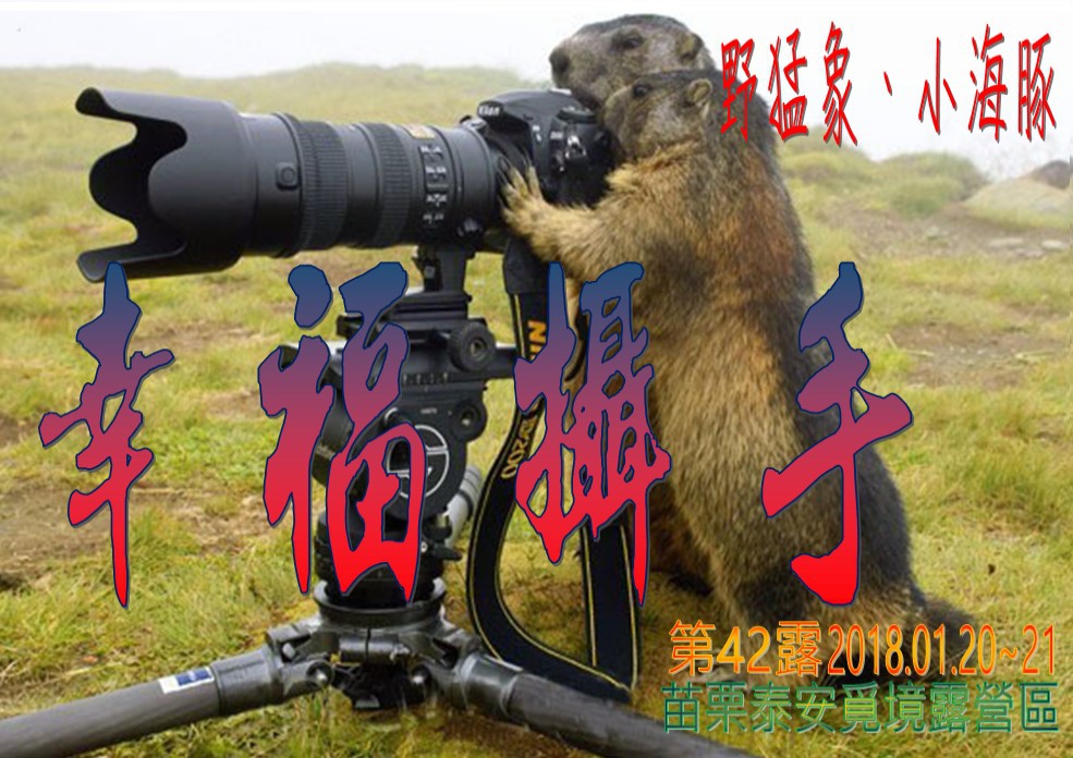 042露苗栗泰安覓境露營區 .jpg 042露苗栗泰安覓境露營區 .jpg