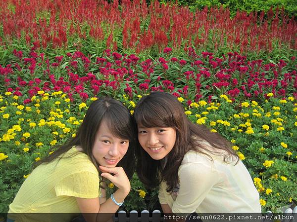 IMG_4108.JPG IMG_4108.JPG