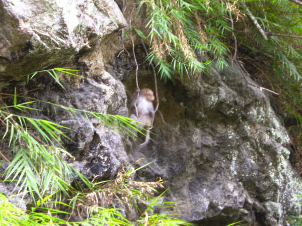 PICT1884.JPG PICT1884.JPG