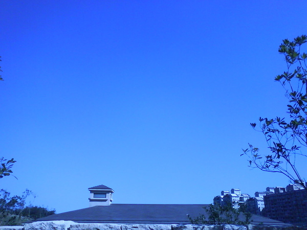 DSC00240.JPG