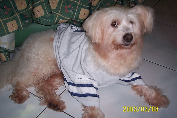 DCP_0925.JPG