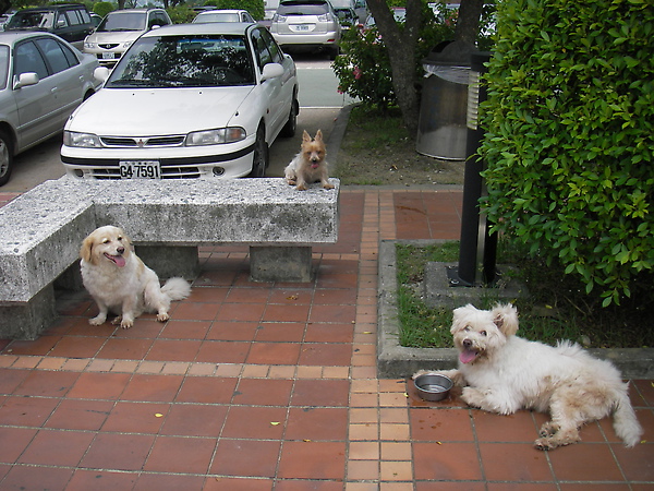 IMGP0456.JPG