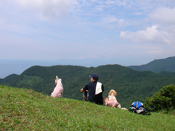 SANY0031.JPG