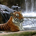 wCbGSEmalacca zoo3.jpg