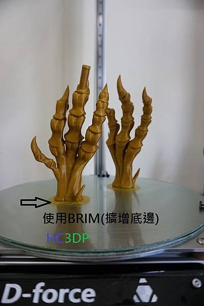 feet2 BRIM.JPG feet2 BRIM.JPG