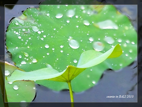 32雨稍歇去閱讀室吃下午茶.JPG