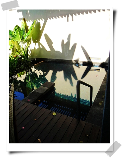36 St. Regis-Suite有小泳池.jpg 36 St. Regis-Suite有小泳池.jpg