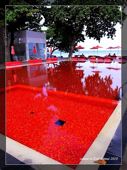 31The Library的紅色泳池(CT).jpg 31The Library的紅色泳池(CT).jpg
