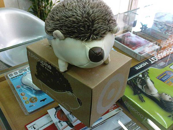 他是T. Porcupine