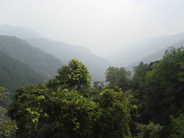 開到半山腰上的美景