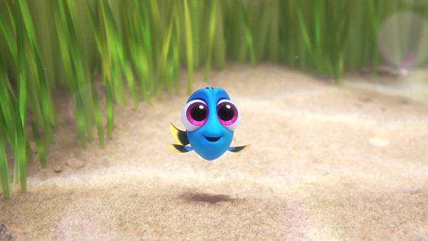 Finding  Dory 019.jpg