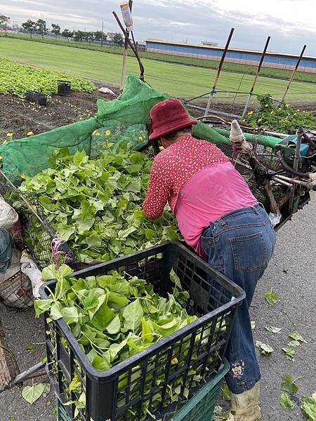 【體驗分享】-My Swiss Life 百通關凝膠 愛運動 【體驗分享】-My Swiss Life 百通關凝膠 愛運動