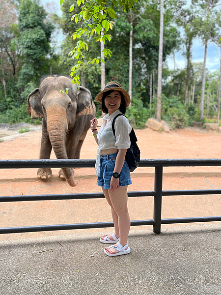 【越南】-富國島免簽直飛珍珠樂園、太陽香島樂園 、野生動物園