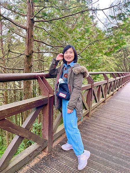 【嘉義】-台灣有個阿里山外國人打卡聖地檜木神木 日出雲海