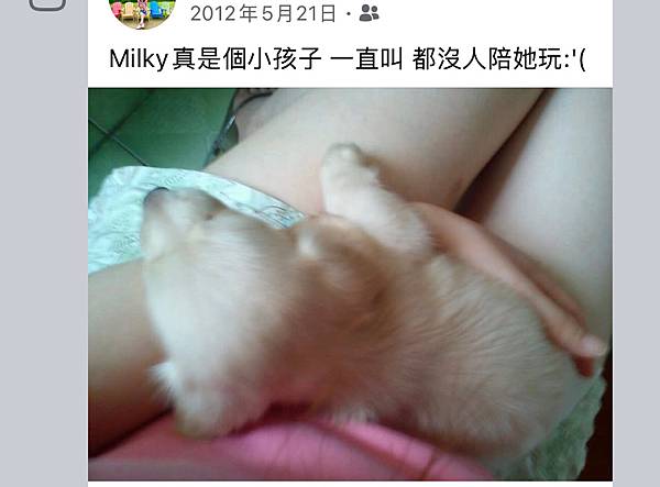 台北新北桃園-懷恩寵物安樂園寵物火化寵物喪禮寵物靈骨塔