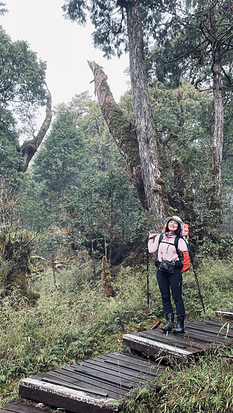 【宜蘭】-太加縱走 太平山 加羅湖 四季林道 加羅神木