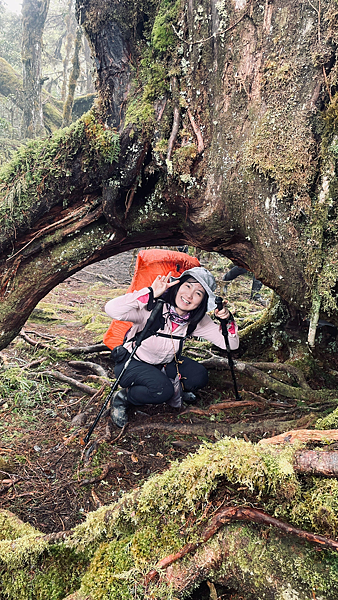 【宜蘭】-太加縱走 太平山 加羅湖 四季林道 加羅神木
