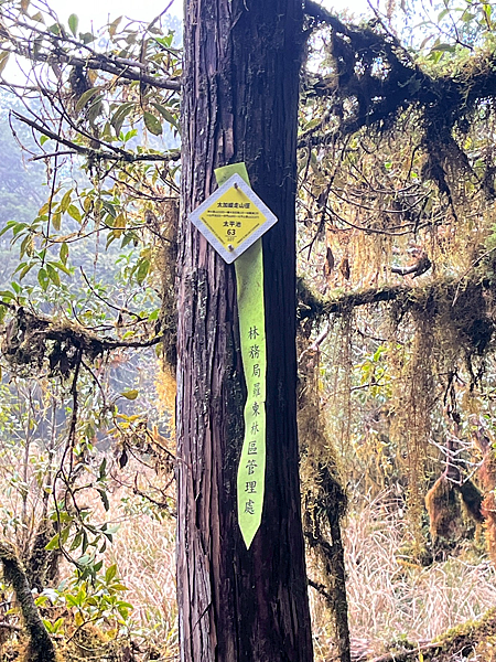 【宜蘭】-太加縱走 太平山 加羅湖 四季林道 加羅神木