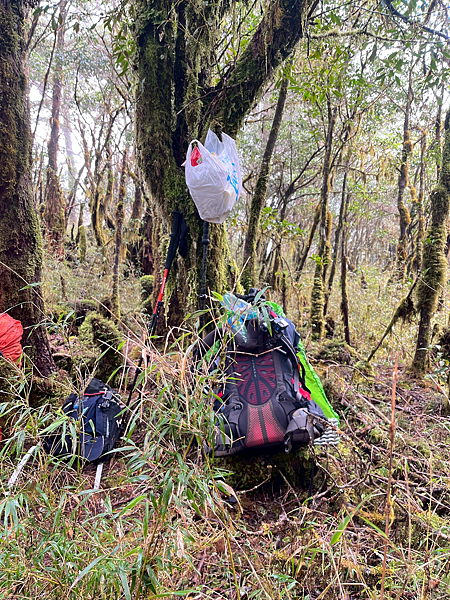 【宜蘭】-太加縱走 太平山 加羅湖 四季林道 加羅神木