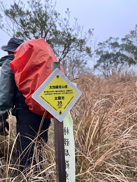 【宜蘭】-太加縱走 太平山 加羅湖 四季林道 加羅神木