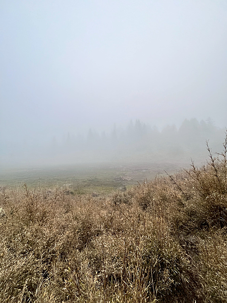 【宜蘭】-太加縱走 太平山 加羅湖 四季林道 加羅神木