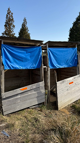 【宜蘭】-太加縱走 太平山 加羅湖 四季林道 加羅神木