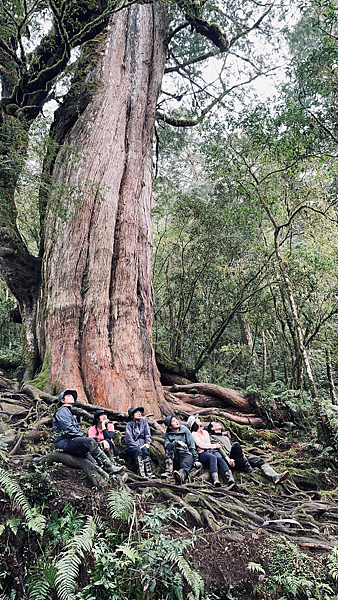 【宜蘭】-太加縱走 太平山 加羅湖 四季林道 加羅神木